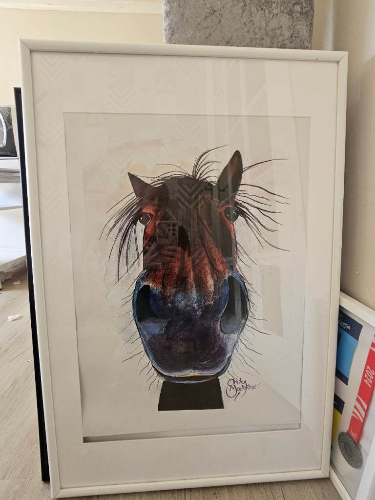 Shirley McArthur horse in frame