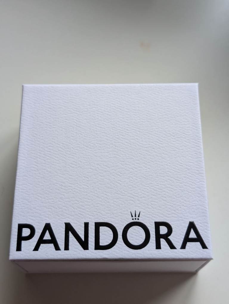 Brand New Pandora Bracelet & 2 Charms 