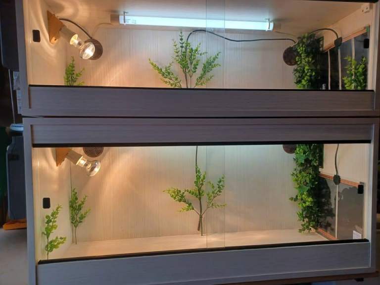  Vivarium 2 Large white matching with electrics