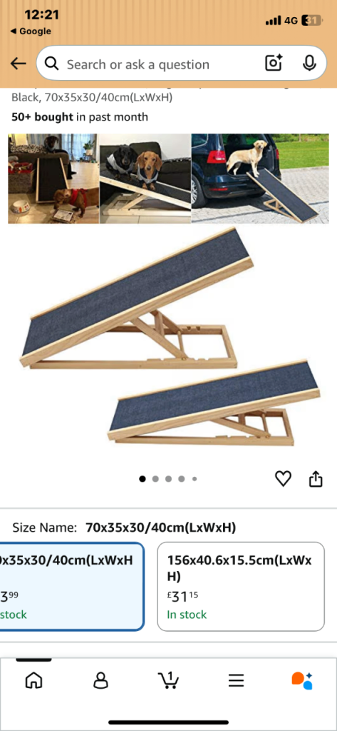 Wooden ramp for dogs .. sturdy but, not too heavy to lift if using in tje car 