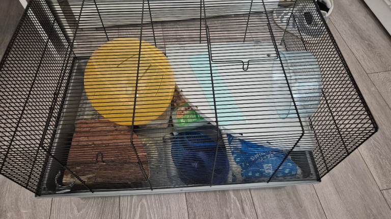 Hamster cage