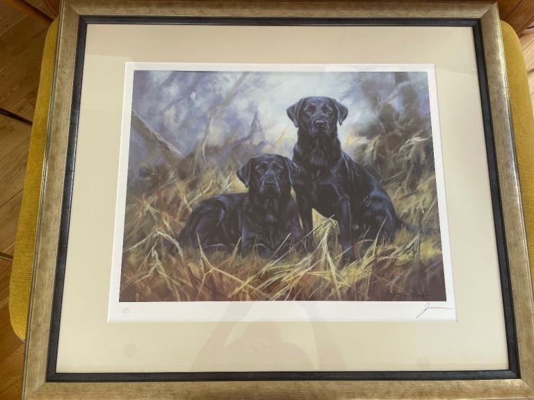 Large John Trickett Labrador framed signed print