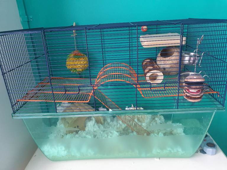 Gerbil cage and accessories 