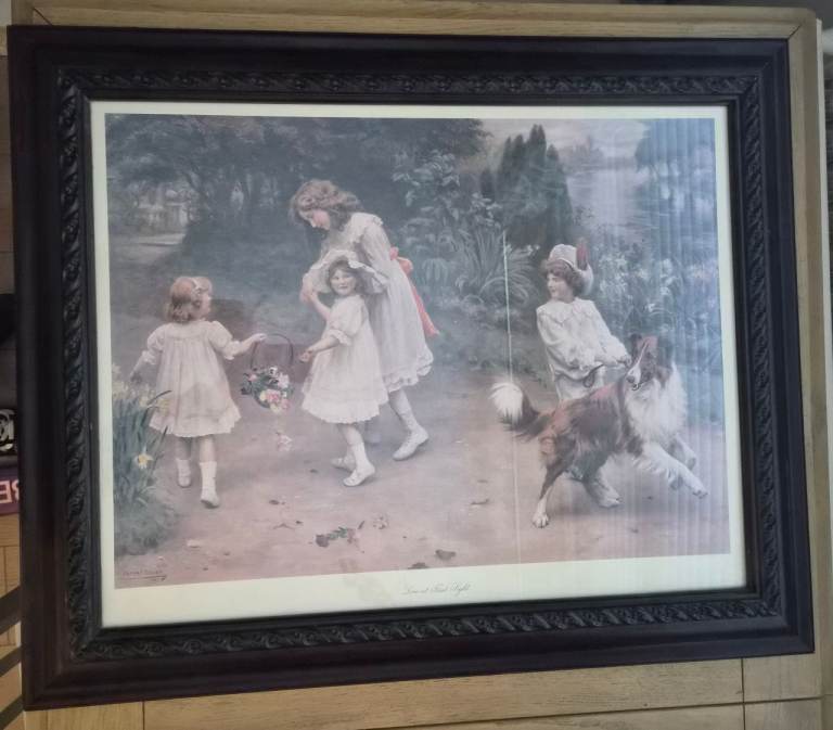 Framed Picture / Print