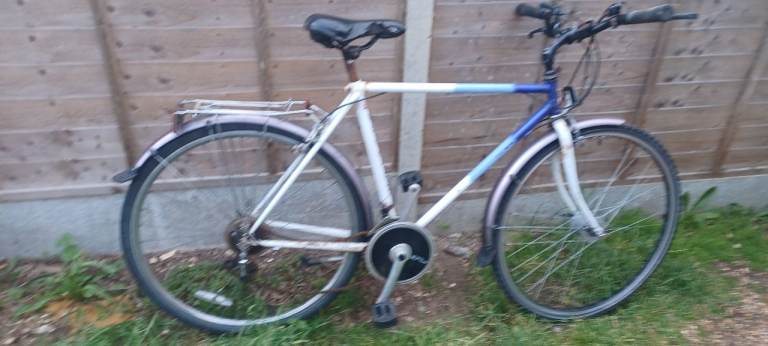 raleigh pioneer bicycle needs some TLC