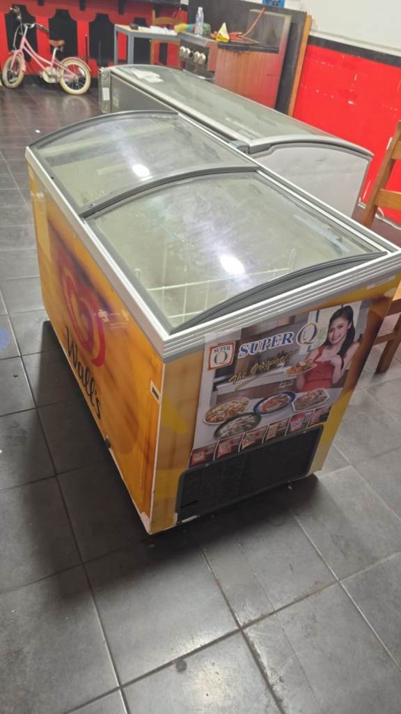 Walls display chest freezer 