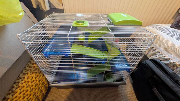 Rosewood Pico XL Dwarf Hamster & Mice Cage