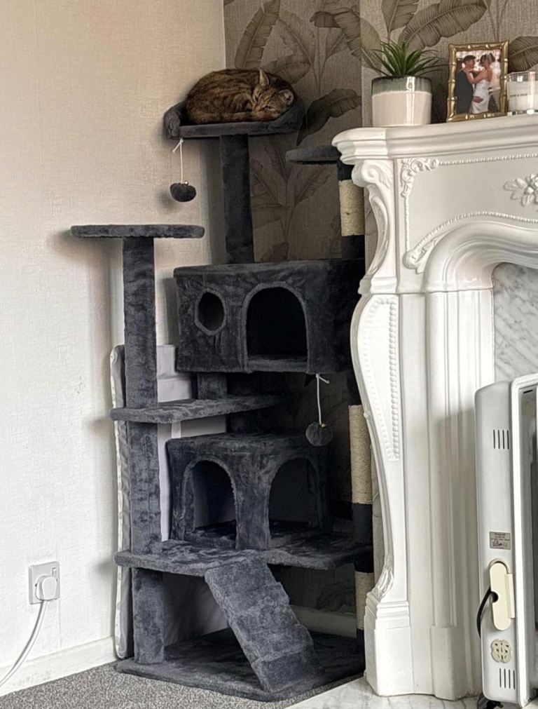 Cat tree bed scratch post new