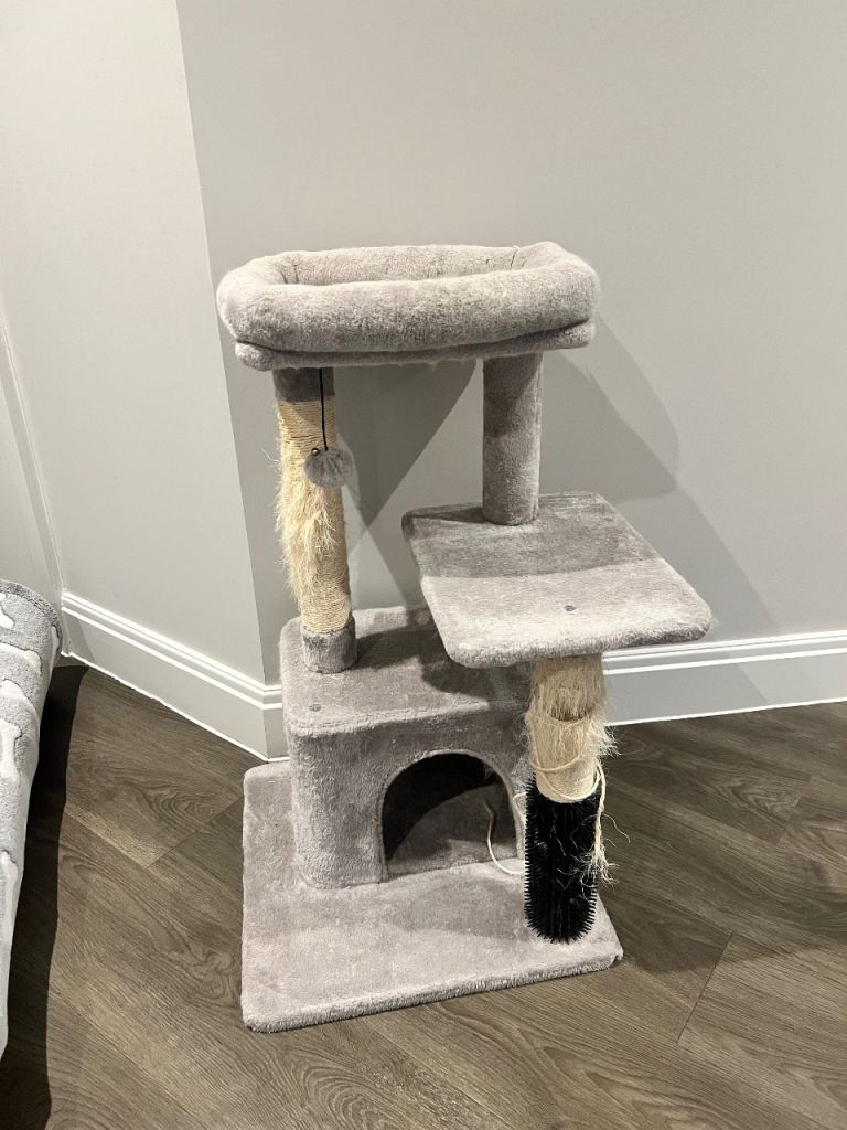 FREE Cat Tree + Cat Litter 