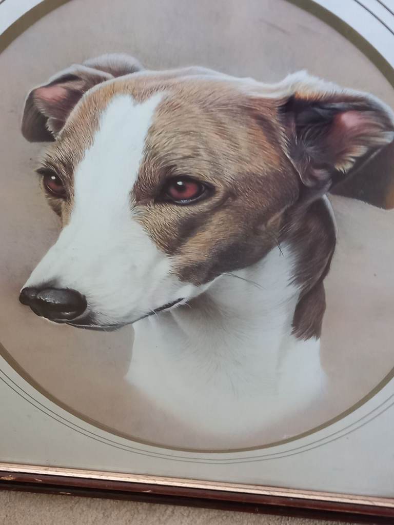 Ken messom greyhound/whippet print