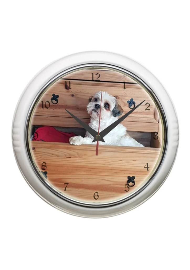 Pet dog cat horse any animals 10 inch metal wall clock 