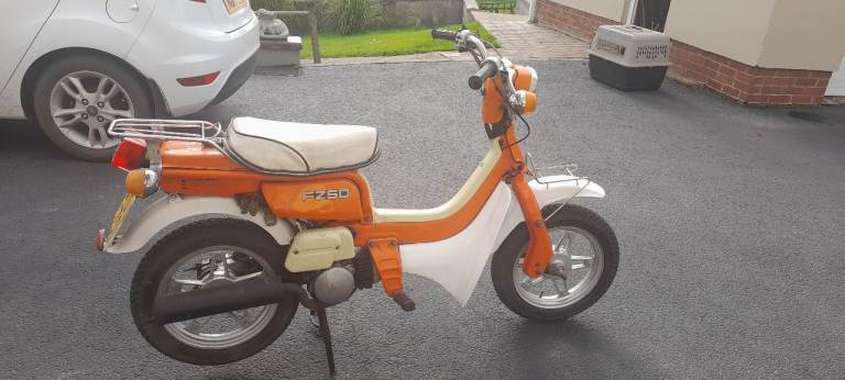 Suzuki, 1979, 49 (cc)
