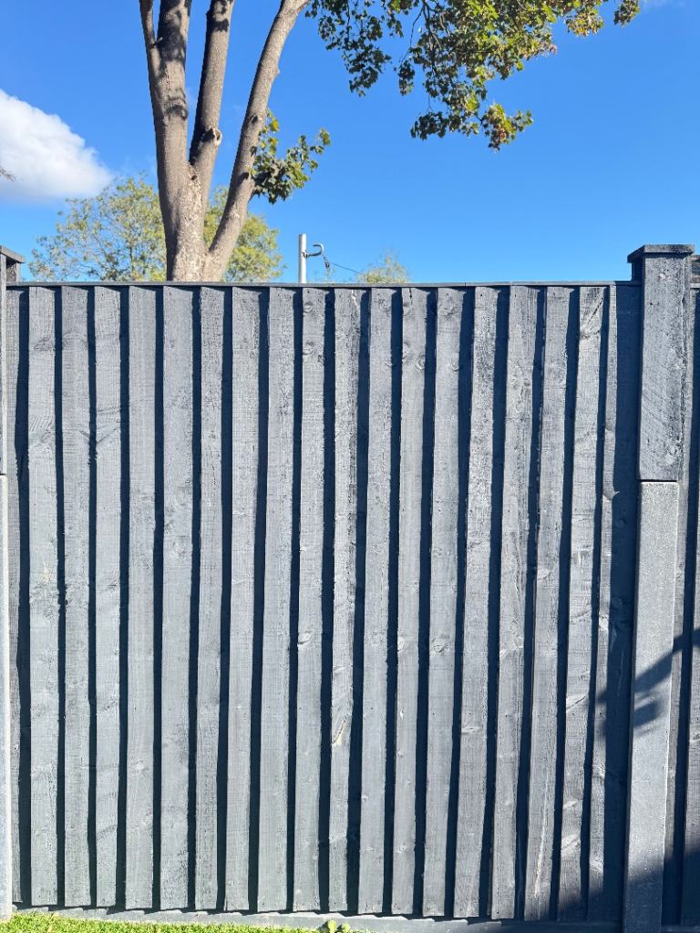 FREE Garden fence panels 