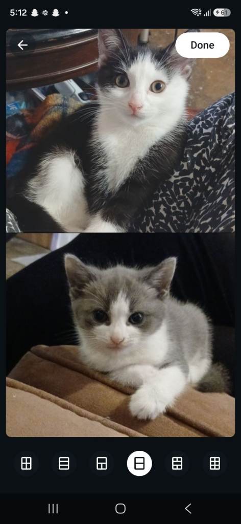 Two Beautiful Sisters for sale