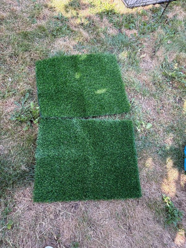 Puppy training mat
