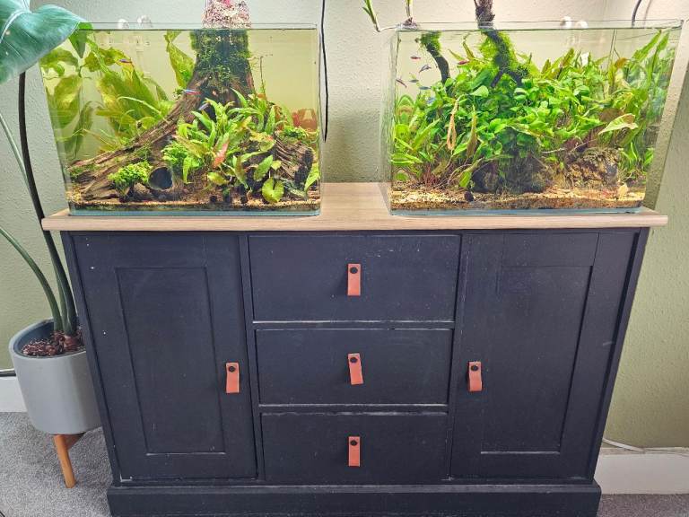 Fish tanks