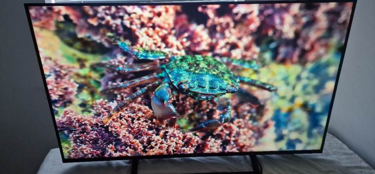 Hisense 55" 4k smart tv _ can deliver
