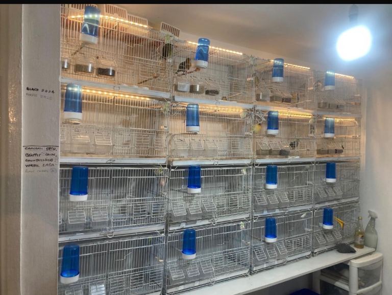 Block of Bird Cages