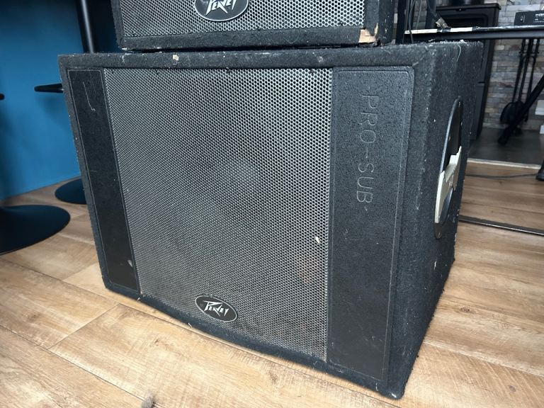 Peavey 15” bass bins