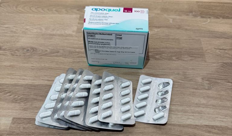 Apoquel 16mg