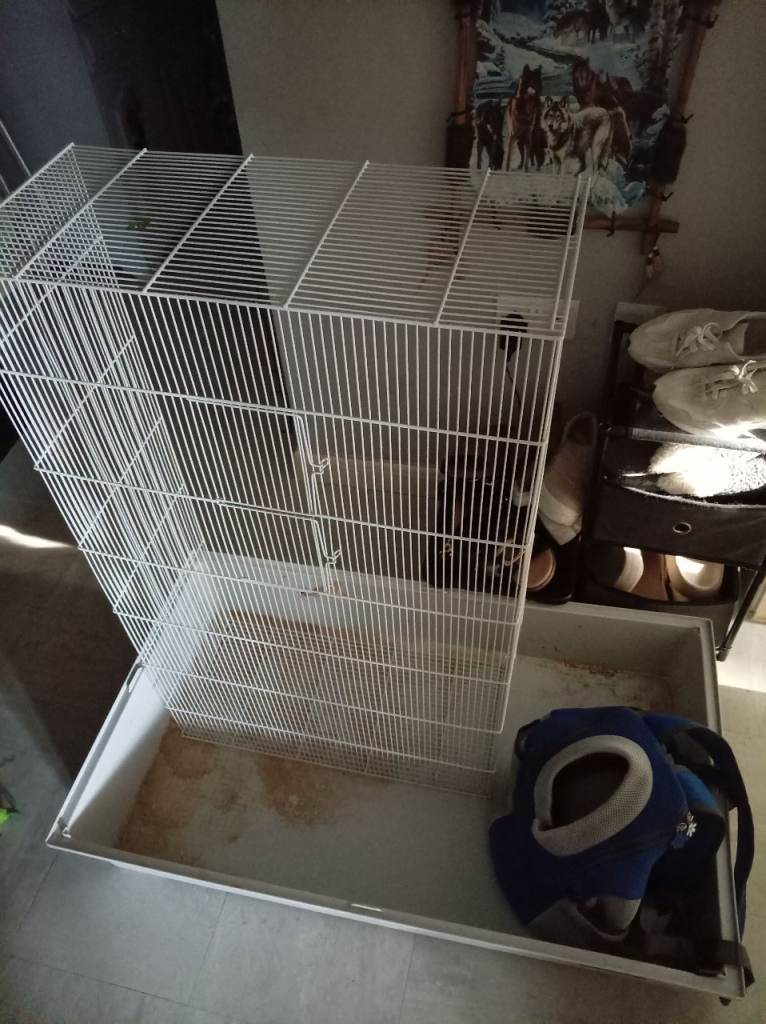 Xlarge rabbit, cage 