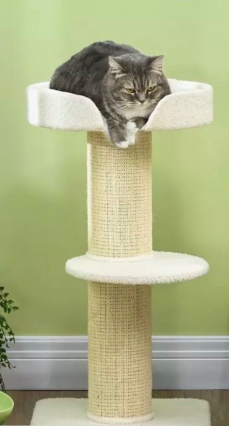 Cat tree and bed 