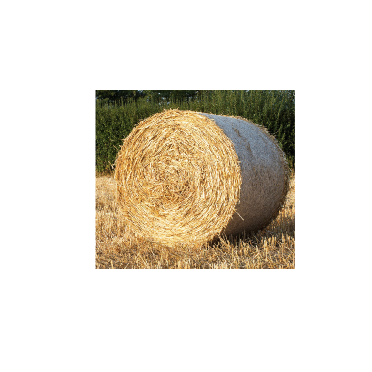 Round Bales of Barley Straw For Sale