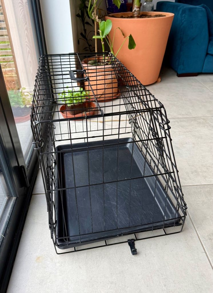 Small collapsible dog crate