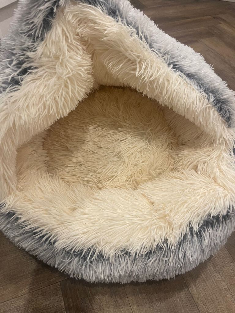 Dog bed