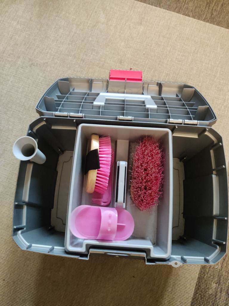 Horse cleaning box