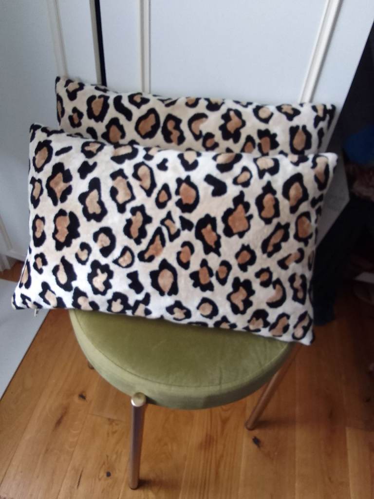 Beautiful Feather Cushions