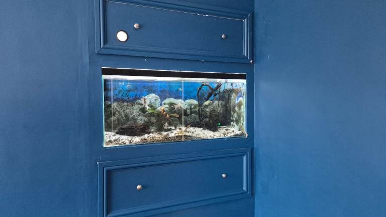 1 metre fish tank