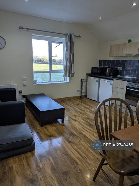 1 bedroom flat in Newport Road, Cardiff, CF24 (1 bed) (#2743465)