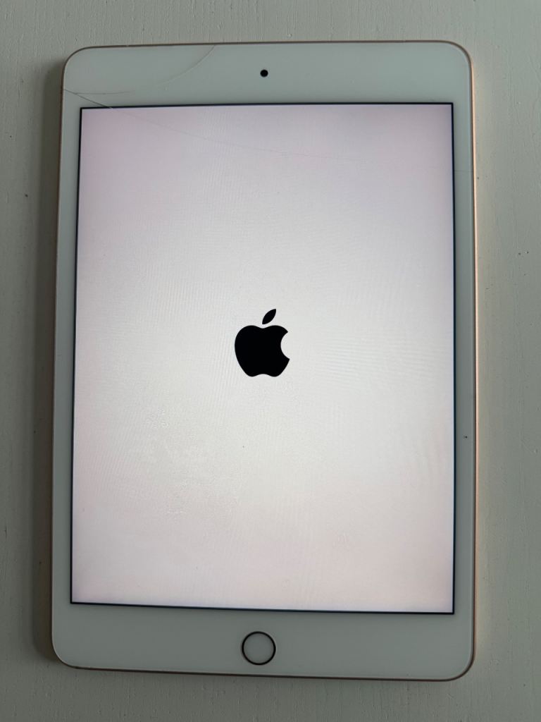 iPad mini 5th generation 