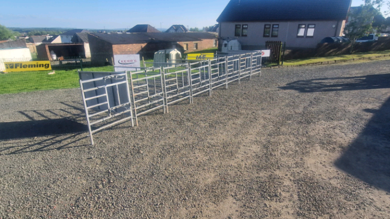 8 x calf rehearing pens with bucket holders farm livestock tractor 