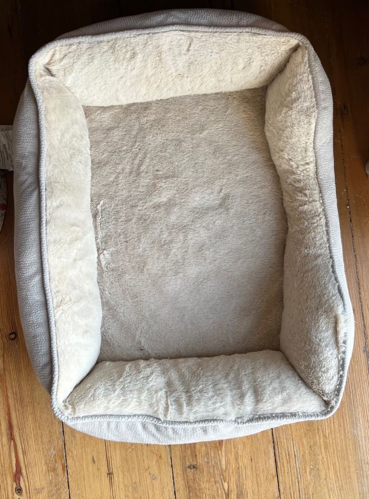 Free Cat or Small dog bed