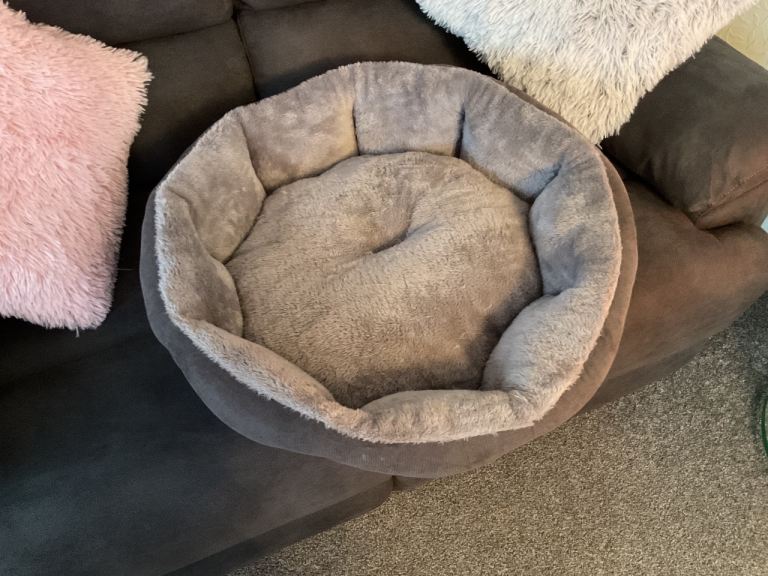 DOG BED