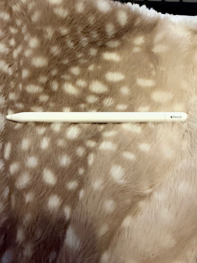 Apple Pencil USB-C