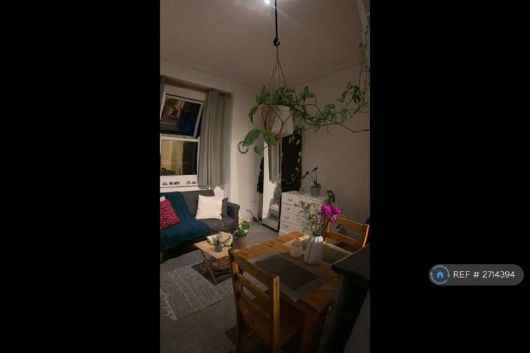 Studio flat in Elmore Road, Sheffield, S10 (#2714394)