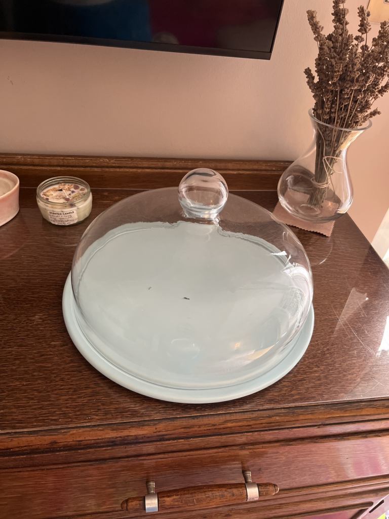 Cake or Food Dome - Duck Egg