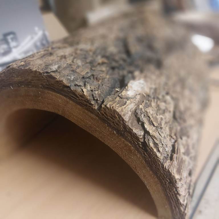 4ft Vivarium with accessories