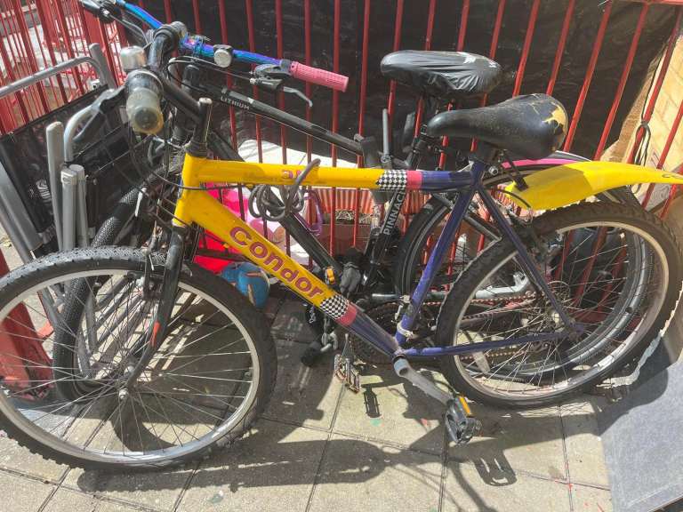 Adult bike 