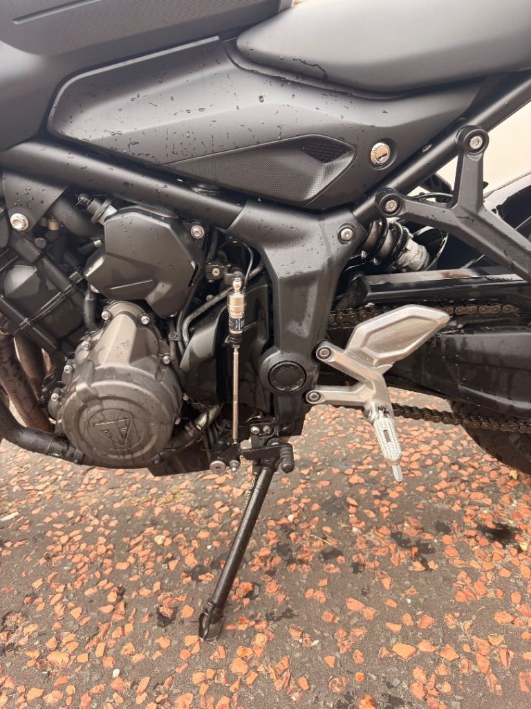Triumph, TRIDENT, 2021, 660 (cc)