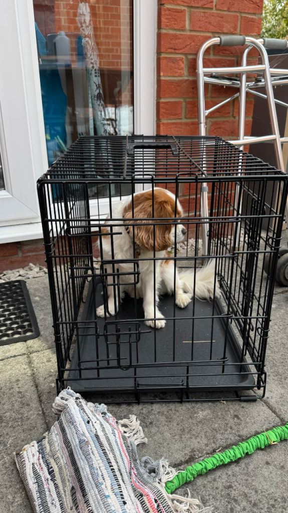 Dog Crate Black Metal – Good Condition