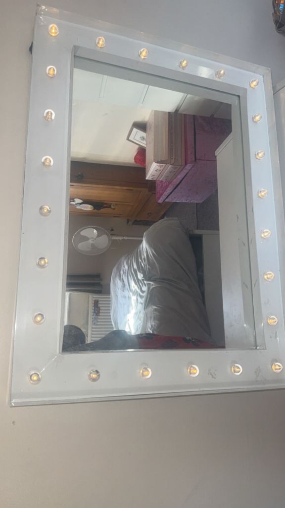 image for Hollywood mirror 