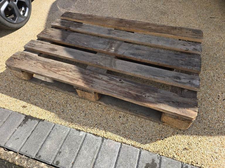 FREE Euro Pallet (Ducklington Witney)