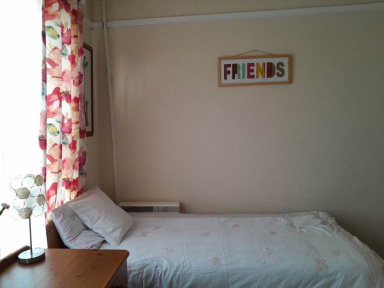 Single pine bed with a pull-out trundle 