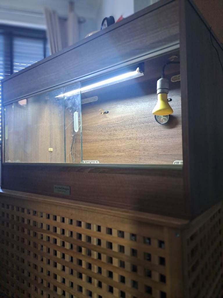 vivarium for sale