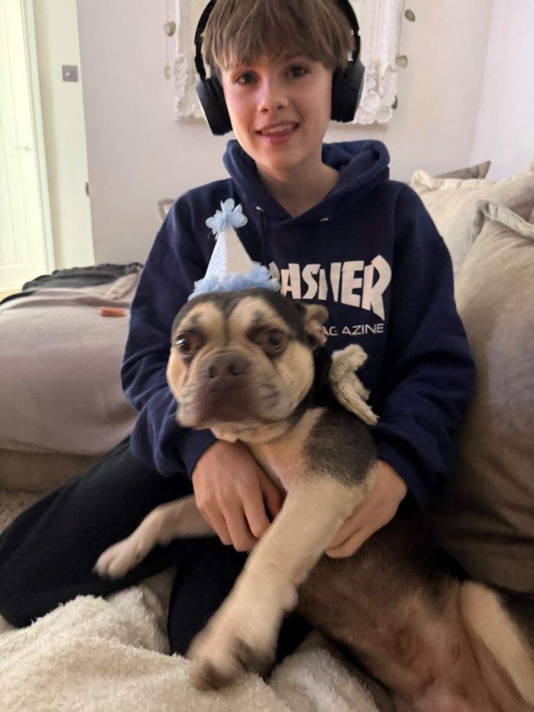 4 year old frenchie looking for a loving home 