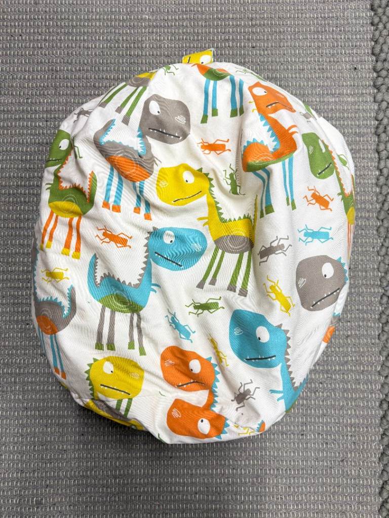 Dinosaur Bean Bag 